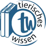 tw-ACADEMY